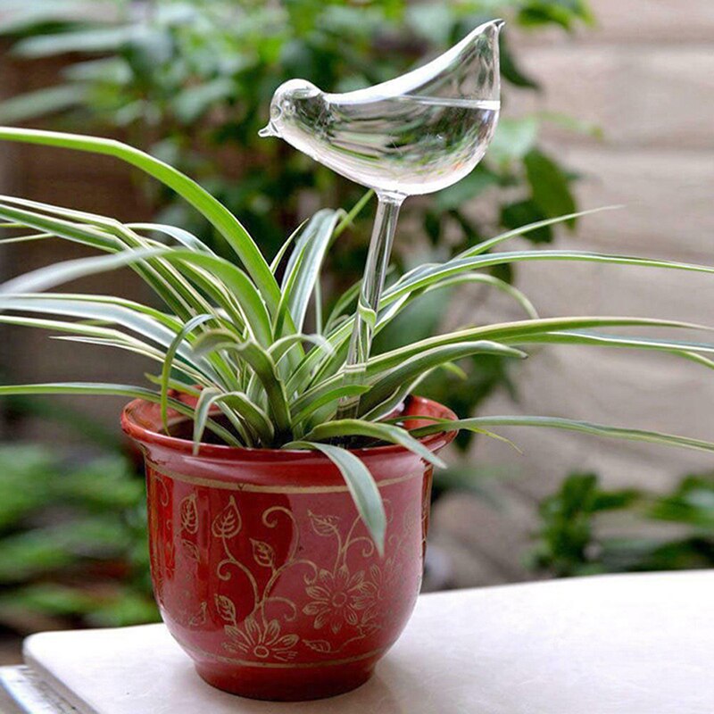 Birdy Self-Watering Plant