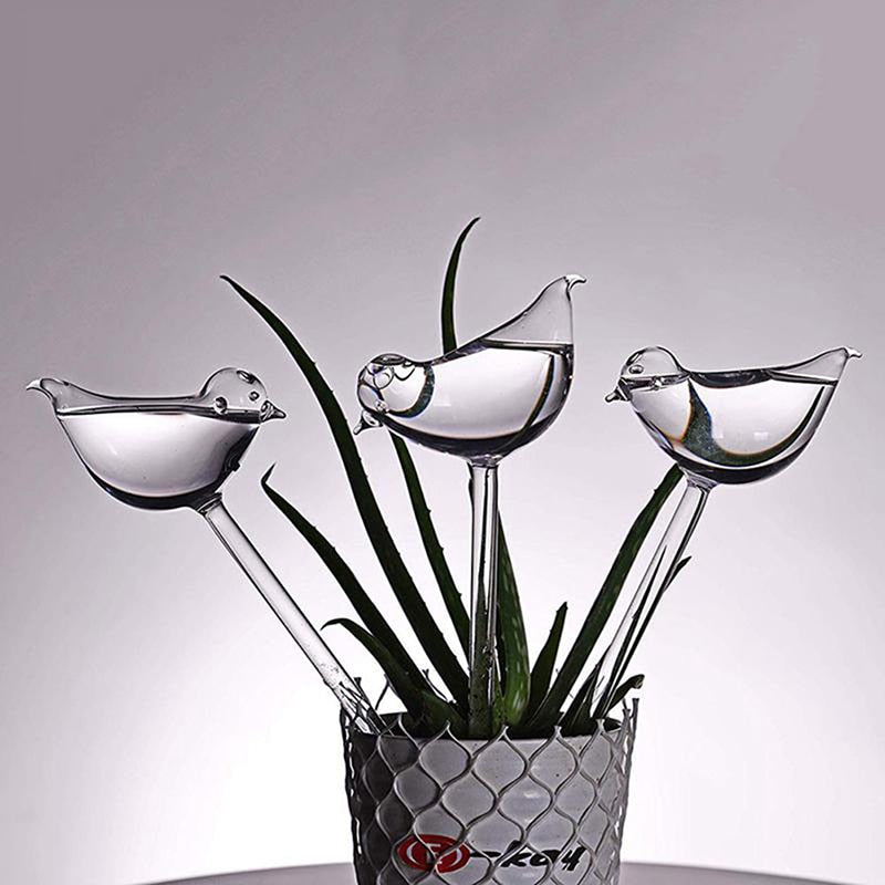 Birdy Self-Watering Plant