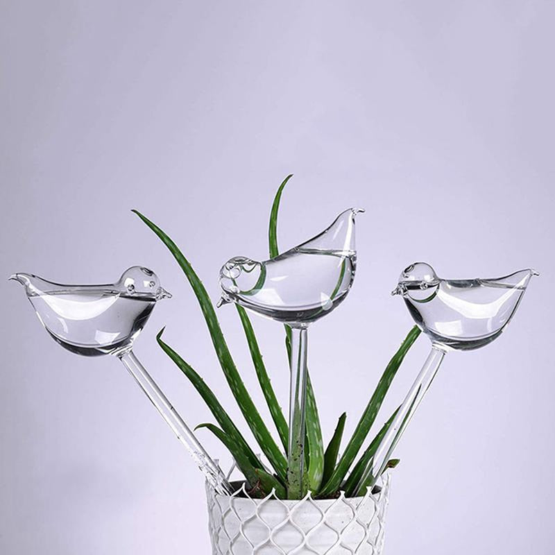 Birdy Self-Watering Plant