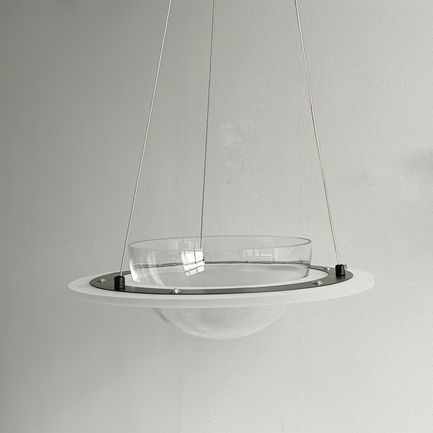 Contemporary Plant-Inspired Hanging Lamp